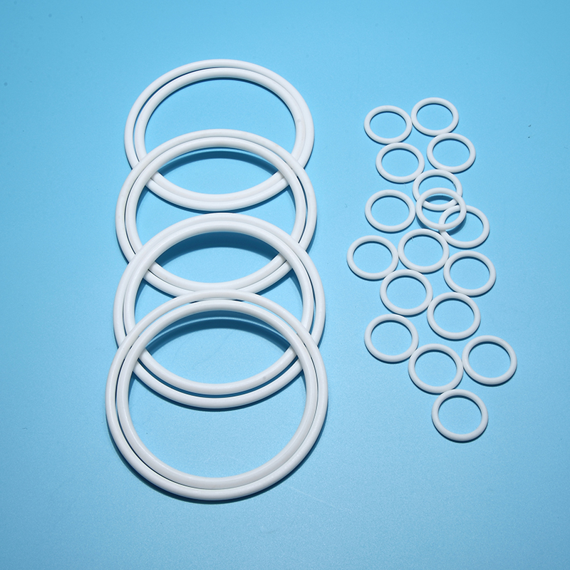 聚四氟乙烯O型圈