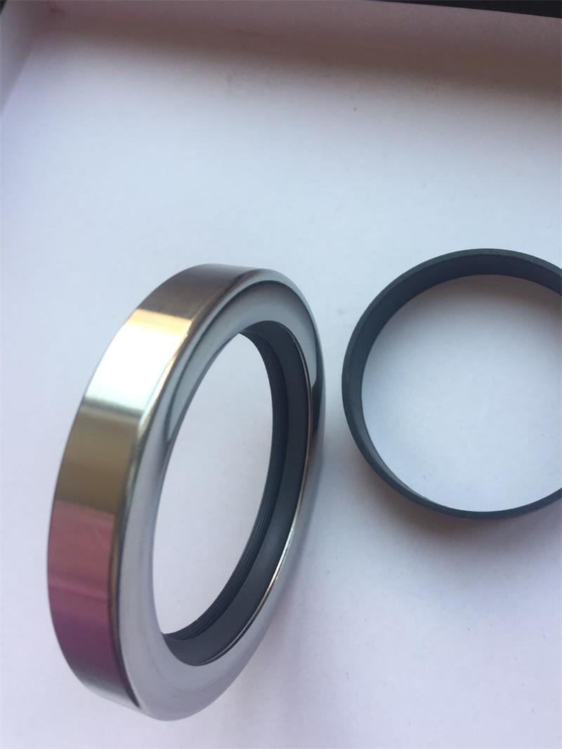 不锈钢双唇油封