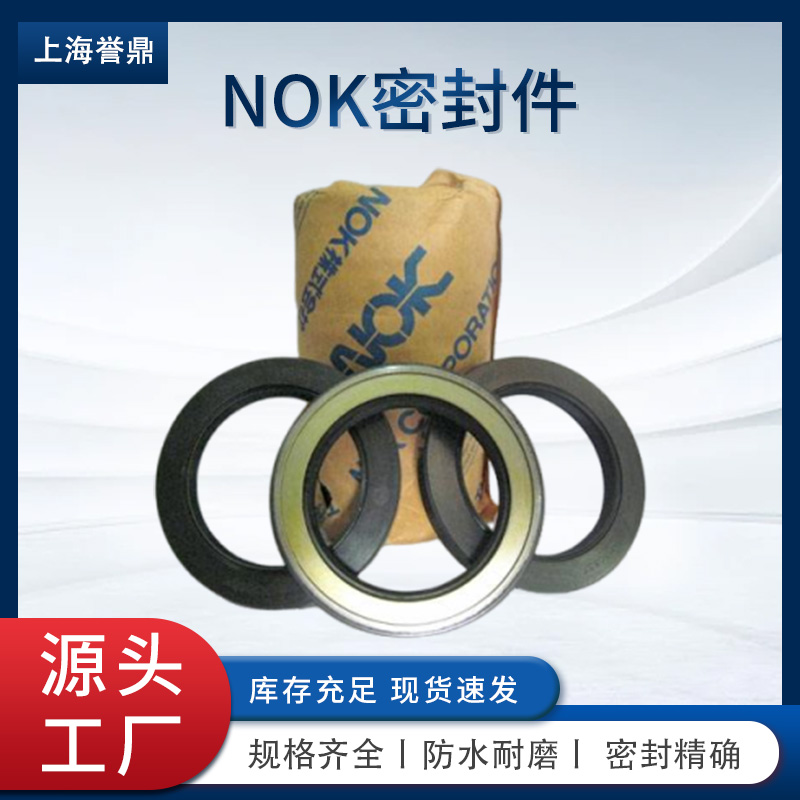 日本 骨架油封